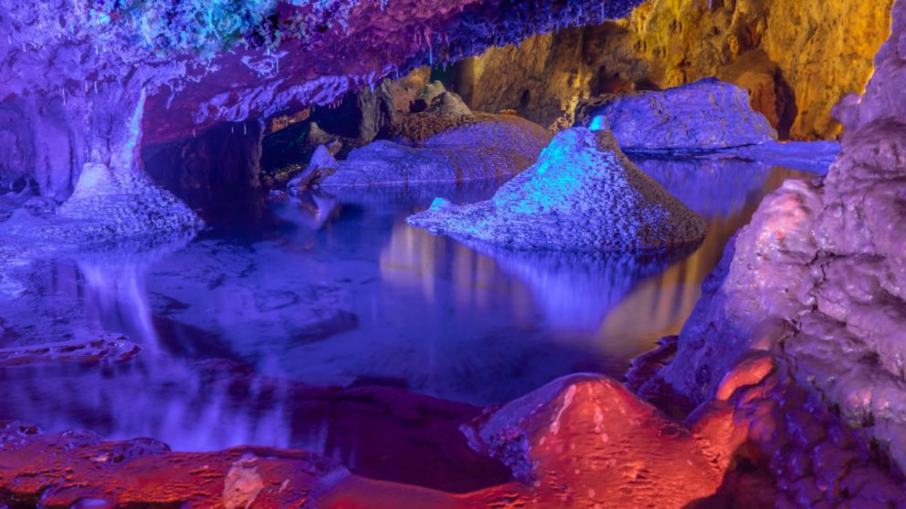 Things to do near Wookey Hole