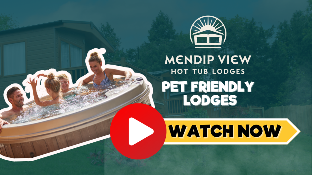 Mendip View video